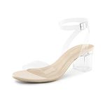 DREAM PAIRS Women's Carnival-1 Clear Open Toe Ankle Strap Low Block Chunky Heels Sandals Party Dress Pumps Shoes Nude Clear Size 8.5