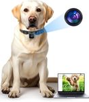 Cat/Dog Camera Collar, No APP No WiFi, Cordless Collar Camera for Outdoor Video Recording, M-Size for Medium Dogs(NO SD Card Included)