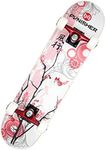 Punisher Complete Skateboard for Beginners 31.5" x 7.75" Skate Board for Girls Adults Kids Teens with 7 Layers Canadian Maple Double Kick Concave Deck & ABEC-7 High Speed Bearings (Cherry Blossom)