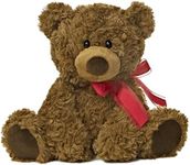 Aurora World Coco Bear 10.5 inches Brown