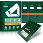 Spider Traps 24 Pack Sticky Indoor Glue Traps For Home Use | Spiders, Crawling Insects and Bugs | Non-Toxic and Eco-Friendly Easy to Use by Felyne