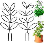 Origreen Indoor Plant Support, Leaf-Shaped Trellis, Metal Wire Stake for Climbing Plants, Houseplants Decoration, Unique Metal Leaf Design, Perfect Garden Trellis Leaf Shape (2pc, Black, Au)