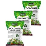 Bloomico Dolomite Powder for Plants - (Limestone Powder) 2.7 kg | Natural Calcium & Magnesium Carbonate for Soil Health & pH Balancing | Ideal for Home Garden and Indoor & Outdoor Plants - (2.7 kg)