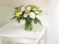 Friendship Freesia and Carnation Bouquet Sent with Chocolates Comes with Our 14 Day Guarantee.