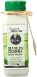 Sea Kelp &