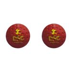 DSC Plastic Dimple Machine Cricket Ball (Red), standard (Pack of 2)