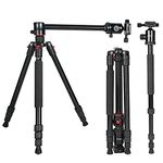 HIFFIN® HF-550 Professional Aluminum Tripod & Monopod with 152CM Max Height | Swivel Ball Head, 4-Section Adjustment, 7kg Load Support | Perfect for DSLR & Video Camcorders