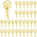 Lesnala 32pcs Blank Keys Bulk, Uncu