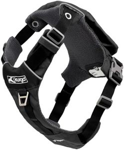 Kurgo Stash n Dash Dog Harness, Black, Large