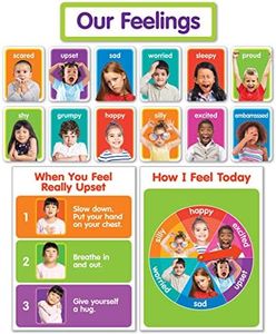 Scholastic Our Feelings Bulletin Board Set, 15/Set (SC-834481)