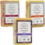 Goat Milk Soap Bars (3 Natural Soaps) - Gentle, No Dyes, Real Goat Milk Bar Soap for Men & Women - Hand & Body Soap Bars, Organic Goat Soap (Large, 5oz) - Lavender, Cherry Almond, Honey Oatmeal