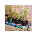 Gardening Naturally Tomato Watering Grow Pots Black (Pack of 3)
