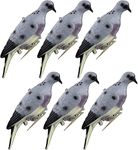 GUGULUZA Realistic Dove Decoys for Hunting, Pigeons Decoy w/Clips for Garden Decorative (Half-Dozen)