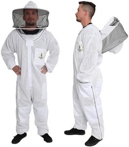 Forest Bee