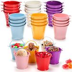 TOPZEA 24 Pack Mini Metal Buckets for Party Favor, 2 Inch Tiny Colored Galvanized Pail Craft Bucket with Handle, Decorative Cute Candy Tin Pails for Easter, Halloween, Birthday Party Supplies