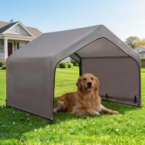 Pawmmo Dog