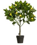 EZY Hedge and Plants 2.3ft Artificial Lemon Tree Plant Potted Fake Plant for Home Office Shop Cafe Indoor Bathroom Decor, 70cm – Green