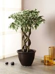 Fourwalls Artificial Ficus Bonsai Plant in a Ceramic Vase for Home and Office Decor (6 Stems, 252 Leafs, 41 cm Tall, Mixed Material, Green/White)