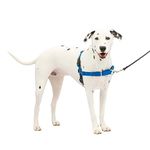 PetSafe Easy Walk Harness, Medium/Large, Royal Blue/Navy Blue for Dogs