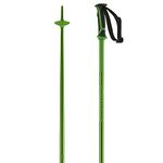 Salomon Arctic Unisex Poles Ski Hiking 115cm