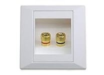 FamilyMall (TM Wall Plate Wall Mount box Port with 2 Bushings for Banana Plug Speaker