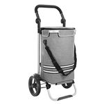 SONGMICS Shopping Trolley, Foldable Shopping Cart, Solid, with Insulated Cooling Bag, Large Capacity 35L, Multifunctional Luggage Cart with Wheels, Detachable Backpack, Grey KST02GY