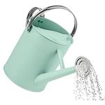 Homarden 1 Gallon Teal Watering Can - Metal Watering Can with Removable Spout, Perfect Plant Watering Can for Indoor and Outdoor Plants (House Plants) - Ideal Decoration