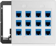 TOMODER 12 Port Ethernet Wall Plate Cat6 Jack RJ45 Outlet Keystone Network Cables Inline Coupler Wires Connector Date Box Cover with 2Gang Low Voltage Mount