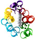 Chicken Leg Rings – 30 Numbered 1-5 Tag Markers for Adult Birds | 1/2” to 5/8” Legs | Clip On Poultry Ankle Bands for Gamefowl, Ducks, Guineas | Colored ID Legband Breeding Marking & Banding | Fowls