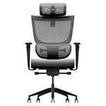 ErgoTune Supreme Ergonomic Office C