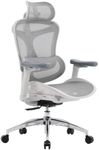 SIHOO Doro C300 Ergonomic Office Ch