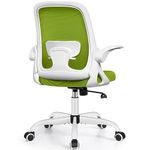 Winrise Office Chair Ergonomic Desk Chairs with Lumbar Support and Flip-up Arms, Comfortable Breathable Mesh Computer Executive Chair with Swivel Task, Adjustable Height 4'', Home, Bedroom - Green