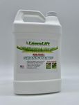 Lawnlift Ultra Concentrated (Green) Grass Paint 1 Gallon = Up to 10 Gallons of Product.