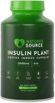 Nature's Source Premium Insulin Pla