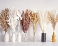 125 PCS Dried Pampas Grass Bouquet, Boho Table Decor, Bunny Tails Dried Flowers, Brown Pampas, White Pampas Grass for Weddings, Home Decor, Rustic Parties, and Baby Shower Decorations