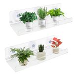 2 Pack Ledge Suction Cup Window Shelf 12 Inch Acrylic Window Box Shelf for Plants Indoor Hold Window Planter Succulents Flowers or Herbs