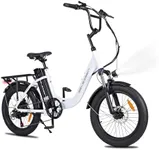 Electric Bike for Adults, RP50 1000W 20''×3.0 Fat Tire Electric Bicycle, 14.5Ah 48V Removable Battery Max Range 73Miles for Urban Commuter, 25MPH Cargo Ebike with Front Suspension & 7 Speed Gear