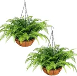 PABREY 2 Set Fake Ferns with Hanging Baskets, UV Resistant Outdoor Artificial Plants, Realistic Fake Hanging Plants Outdoor Faux Plants for Front Porch Patio Home Décor, No Assembly Required