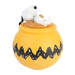 Grupo Erik Snoopy Cookie Jar With Lid | Biscuit Tin | 20.5 x 20.5 x 24.6 cm | Sweet Jar | Snoopy Gifts | Kitchen Decor | Airtight Food Storage Container