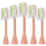 Replacement Toothbrush Heads 6