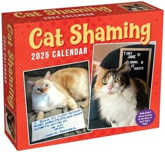 Cat Shaming 2025 Day-To-Day Calendar