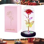 Red Galaxy Rose for Her,Light Up Rose Flowers Gifts for Women Mom Girl Wife Lover Daughter,Forever Light Up Rose in Glass Dome Rose Lamp Eternal Rose for Valentines Day Mothers Day Birthday Christmas