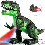 TOEY PLAY Walking T-Rex Dinosaurs Toy for Kids, Realistic Dinosaur Figure Robot, Roaring, Lights and Sounds, Educational Gifts for Boys Girls 3 4 5 6 Years Old