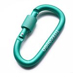 TITECOUGO 4 PCS Aluminum Alloy D-Ring High Strength Carabiner Key Chain Clip Hook For Camping Hiking (Not for Climbing) Sea Green