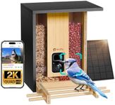 NETVUE by Birdfy AI Smart Bird Feeder with Camera Solar Powered, Permanent AI Identify 6000+ Bird Species & Motion Detection, Renewable Upgraded Bamboo Wood Bird Feeder Camera, Ideal Gift