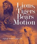 Bear Motion Kindles