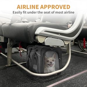 Petsfit Airline Approved Cat Carrier – Foldable, Large, Black, for Cats & Small Dogs