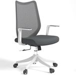 FYLICA Ergonomic Office Chair, Comfy Swivel Mesh Chair Super Elastic Lumbar Support Fixed Armrests and PU Wheels Tilting & Height Adjustment Desk Chair (Light Grey)