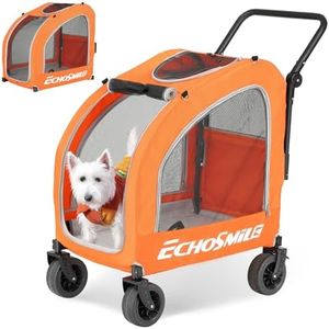 EchoSmile