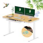 FLEXISPOT Q8 Standing Desk Dual Motor, Home Office Electric Height Adjustable Sit-Stand Desk with Drawer & Fast USB Chargers(White Frame+Bamboo Top,140 * 70cm)